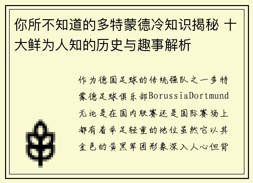 你所不知道的多特蒙德冷知识揭秘 十大鲜为人知的历史与趣事解析